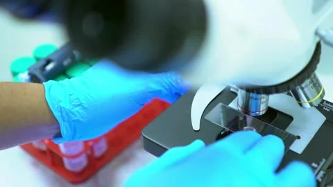 Microscope focused on the Ebola virus, researchers studied its behavior. Stock Footage 336582921