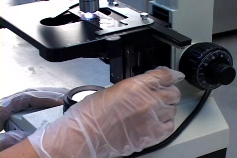 Microscope Stock Footage 146766