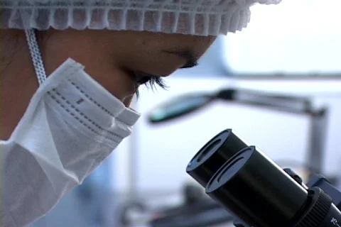 Microscope  Stock Footage 146770