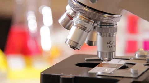 Microscope  Stock-Footage 1075985