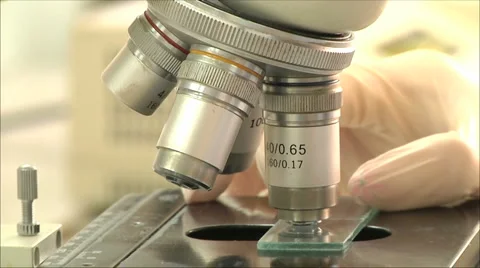 Microscope Stock Footage 2270851