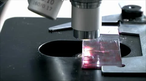 Microscope Stock Footage