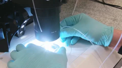 Microscope Stock Footage 21266648