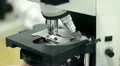 microscope HD Footage