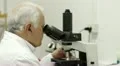 microscope HD Footage