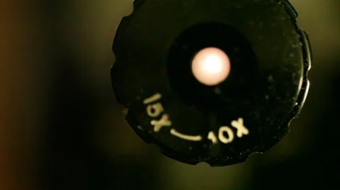Microscope Stock Footage 31560340