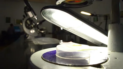 Microscope Stock Footage 32722298