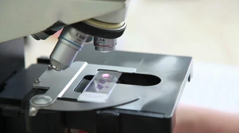 Microscope Stock Footage 55784168