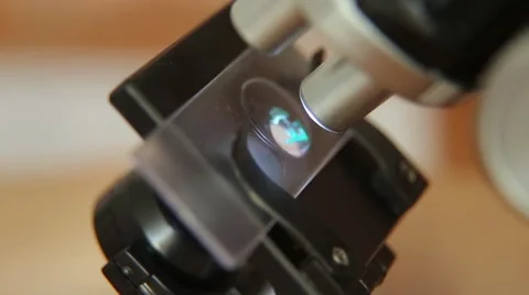 Microscope Video stock 60750330