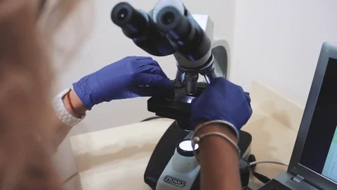 Microscope Stock Footage 79112970