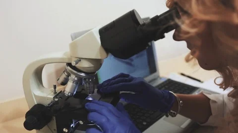 Microscope Stock Footage 79113406
