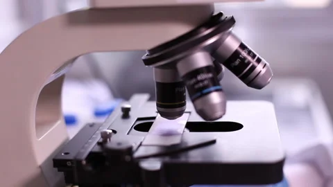 Microscope Stock Footage 133834721