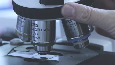 Microscope Vídeo Stock 135407219