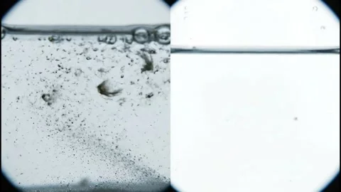 Microscope Footage of Tap Water vs Distilled Water — Particle Comparison Video stock 318301818