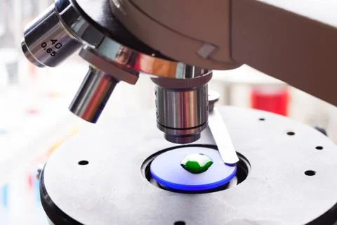 Microscope glass close up Stock Photos
