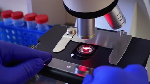 The microscope with his hands under the magnification of the objectives. Stock Footage 202089623