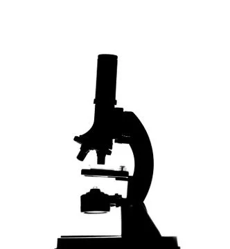 Microscope Stock Illustration