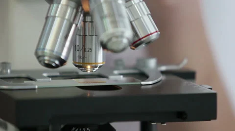 Microscope at laboratory Stock Footage 58423788