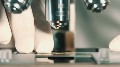Microscope at laboratory. Stock Footage 68003306