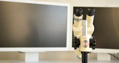 Microscope, Laboratory instrument, Commercial laboratory, Science Stockbeeldmateriaal 166509799