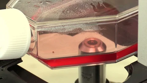 Microscope laboratory scientific research with a modern into the tube sample Video stock 100327564