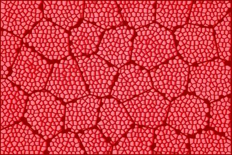 Microscope leaf 6 库存插图