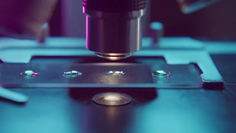 Microscope Lens Focusing over Transparent Samples on a Glass Slide in Dark Lab 库存影片 331110585