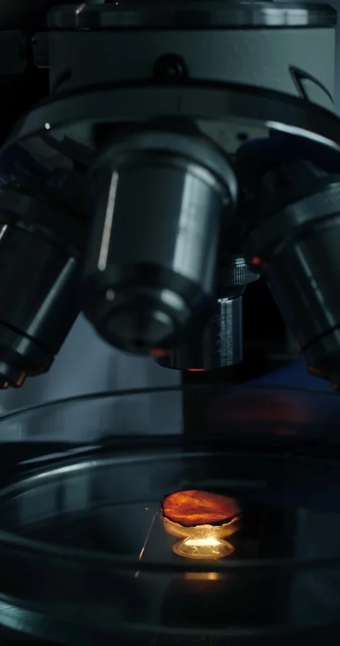 Microscope Lens Focusing on Slide Under Observation Stock Footage 300468933