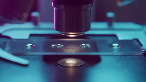 Microscope Lens Focusing on Small Liquid Samples on a Glass Slide 库存影片 331110531
