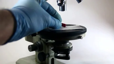 A microscope lens is lowered to a red pill and doctor's hand switches lenses Stock Footage 317296856