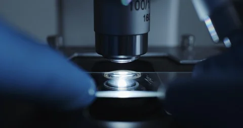 Microscope with metal lens at laboratory. Vidéo 96105971
