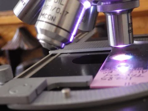 Microscope objective lenses with a pathology slide Stock Photos