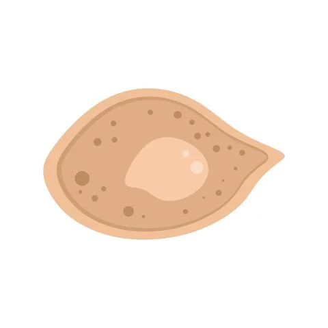 Microscope parasite icon flat isolated vector Stock Illustration