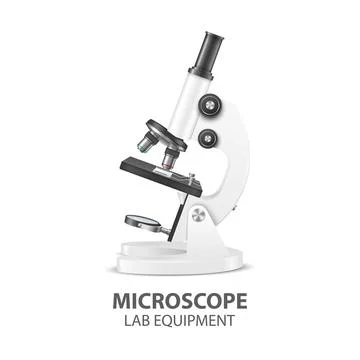 Microscope Parts, Structure Anatomy. Vector 3d Realistic White Laboratory Stock Illustration