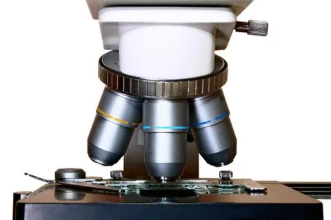 Microscope Stock Photos