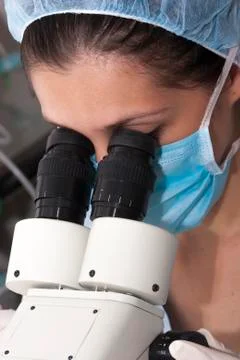 At the microscope Stock Photos