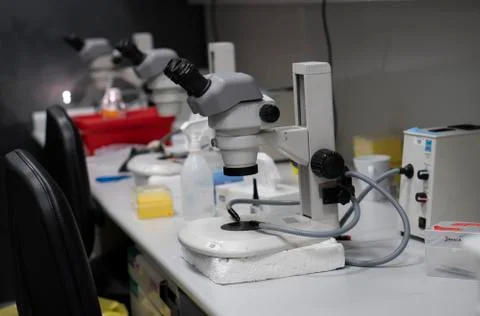 Microscope Stock Photos