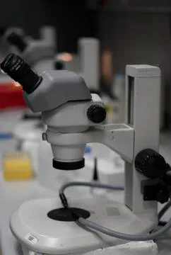 Microscope Stock Photos
