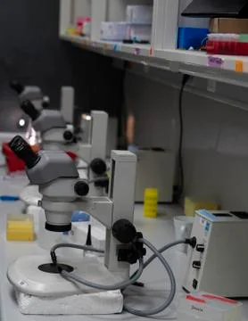 Microscope Stock Photos