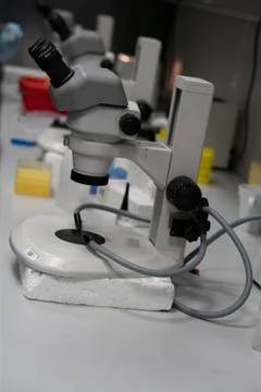 Microscope Stock Photos