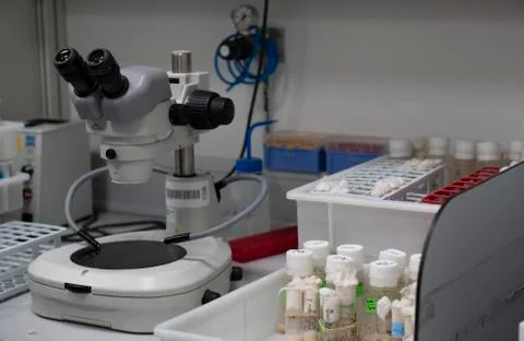 Microscope Stock Photos