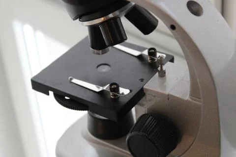 Microscope Stock Photos