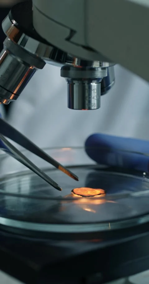 Microscope is positioned above petri dish in laboratory Video stock 300468913