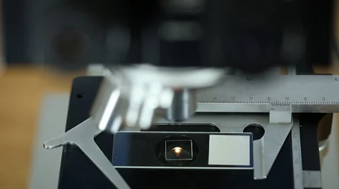 Microscope - Pull Focus Stock Footage 39375743