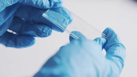 Microscope research laboratory laboratory assistant research Stock Footage 171667768