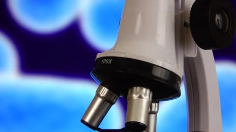 Microscope Reveals E Coli Bacteria Research Laboratory Science Background Vídeos de archivo 341030873