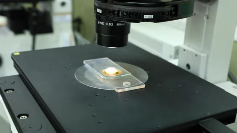 Microscope sample analysis Stock-Footage 145362091