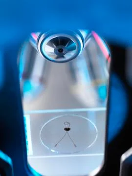 Microscope Sample Stock Photos