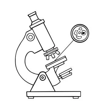 Microscope with a sample for research outline doodle sketch. Biological or bo Stock Illustration