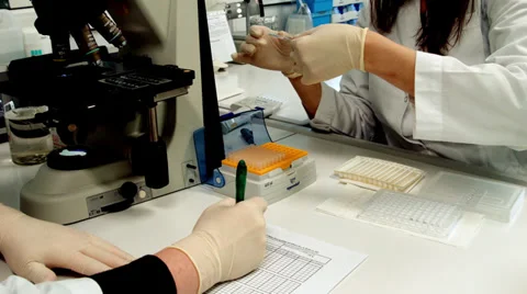 Microscope sample writing Vidéo 37345085